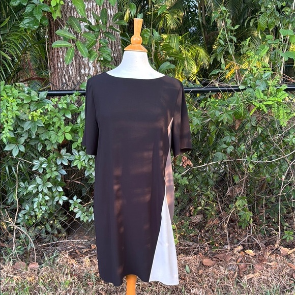 Eileen Fisher Silk Color Block Shift Dress, size medium - Picture 3 of 7